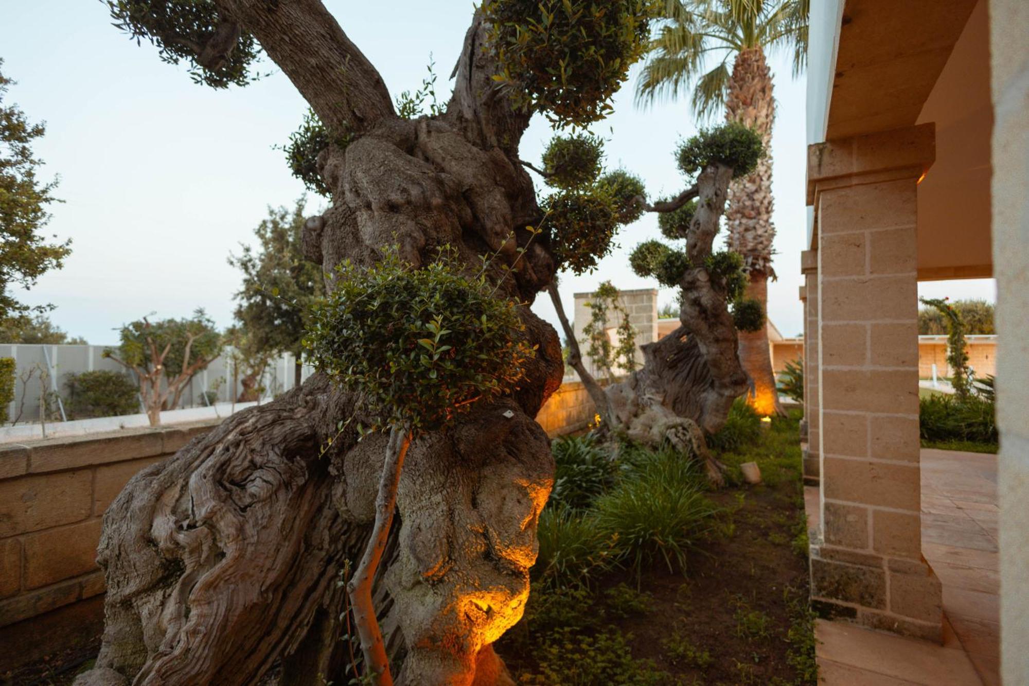 Don Onofrio Villa Monopoli Ngoại thất bức ảnh